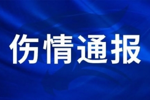 火爆U17女世界杯德國女籃U17vs西班牙U17女籃在線觀看_火爆U17女世界杯德國女籃U17vs西班牙U17女籃在線觀看在線觀看_免費看直播