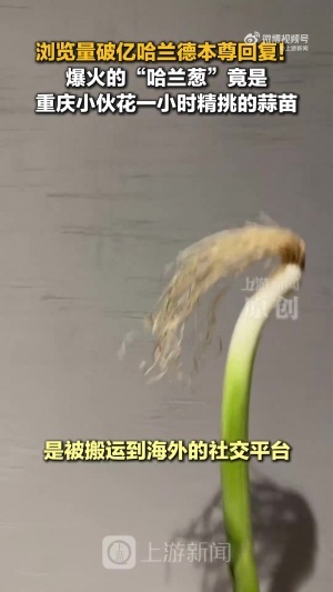 極速世界杯塞內加爾vs伊拉克直播在線觀看_極速世界杯塞內加爾vs伊拉克直播在線觀看在線觀看_免費看直播